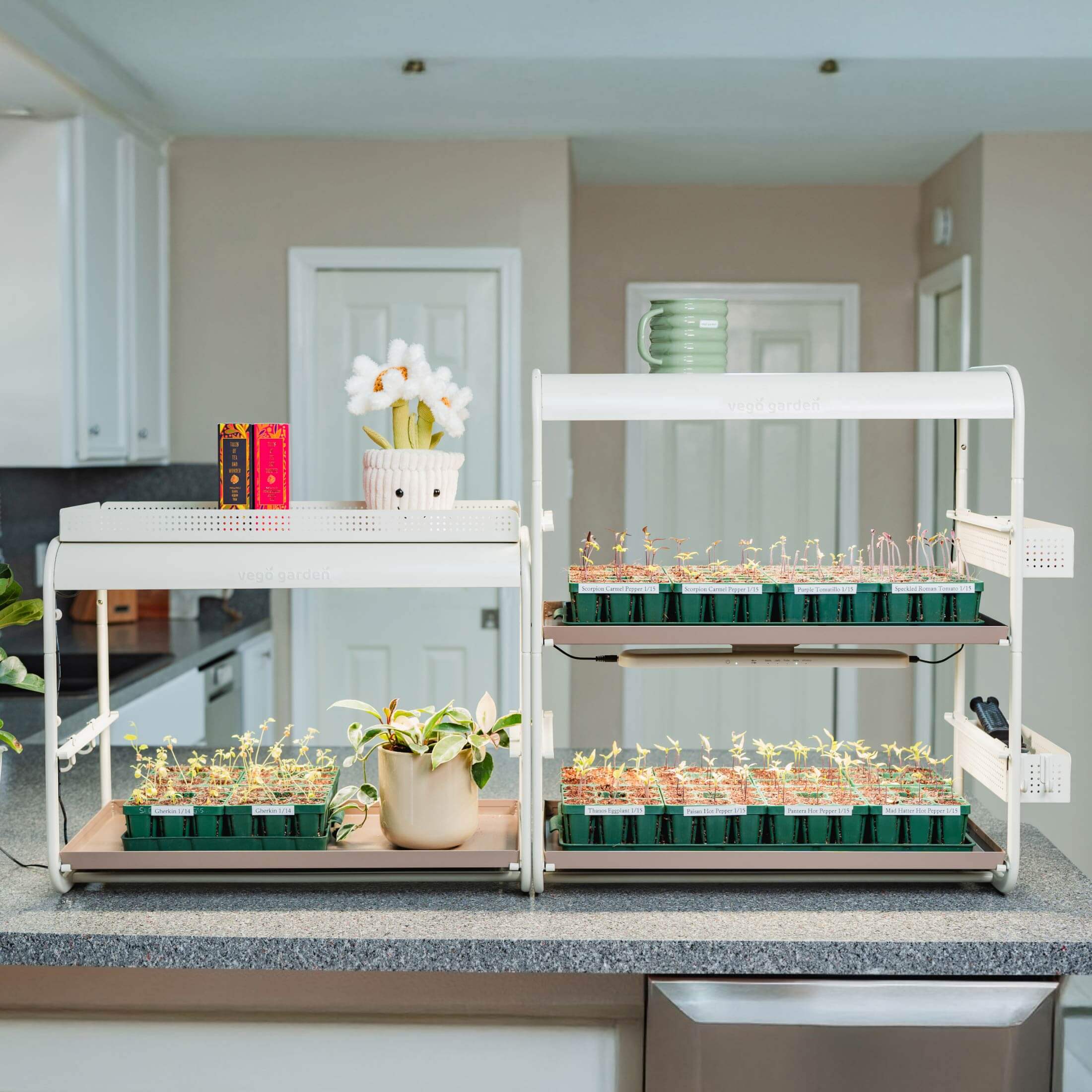 2 Tier Tabletop Grow Light Garden - Image 14