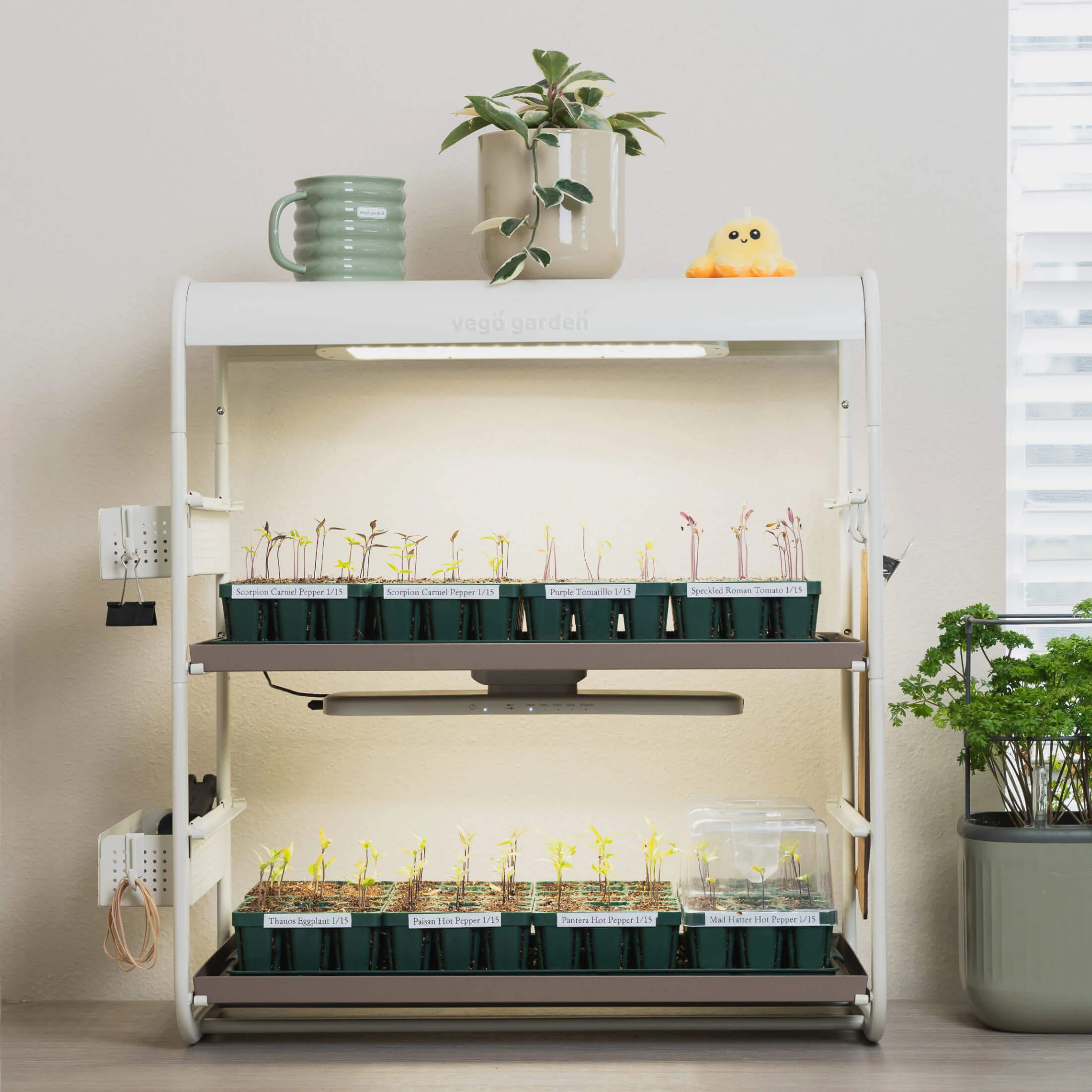 2 Tier Tabletop Grow Light Garden - Image 9