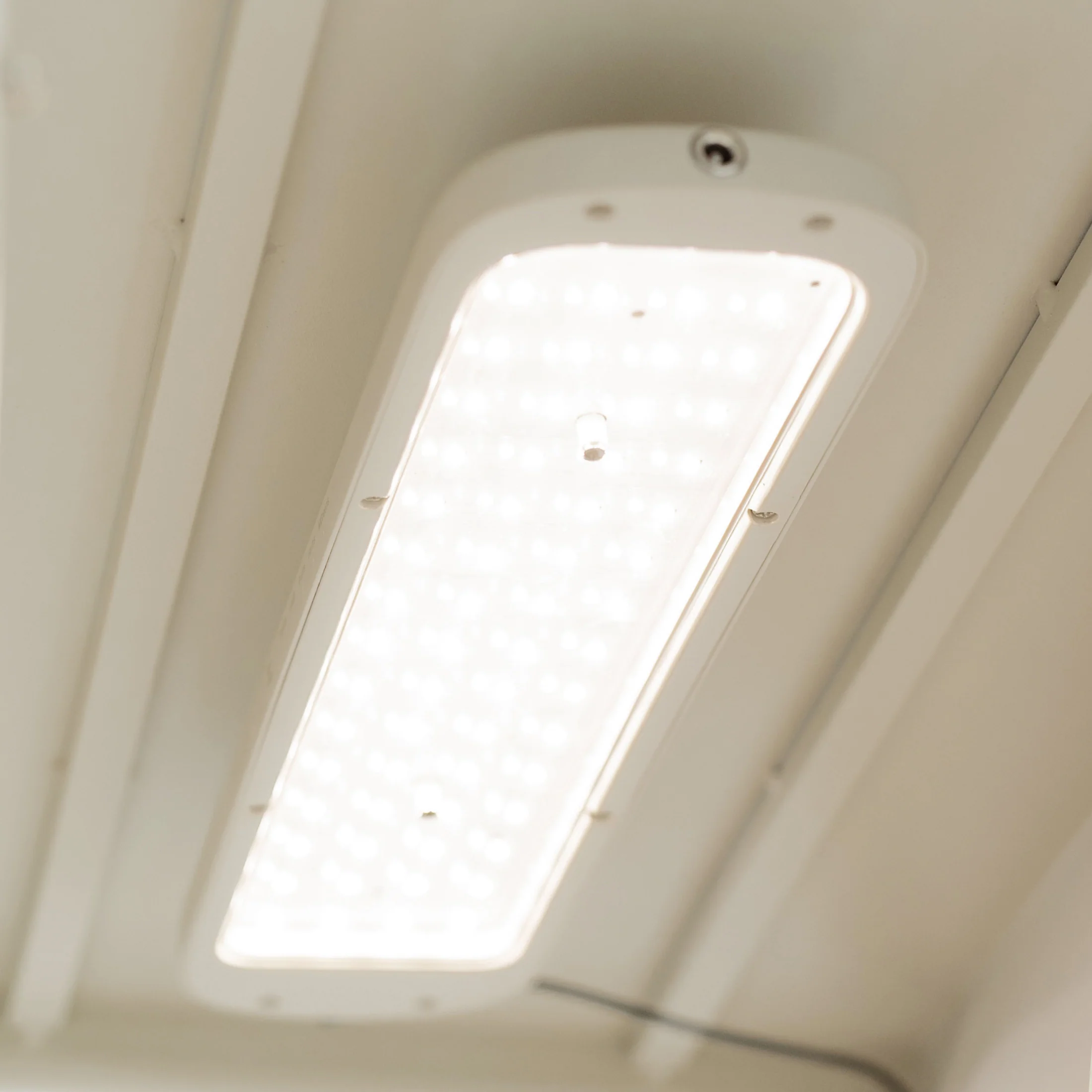 Classic Grow Light - Image 10