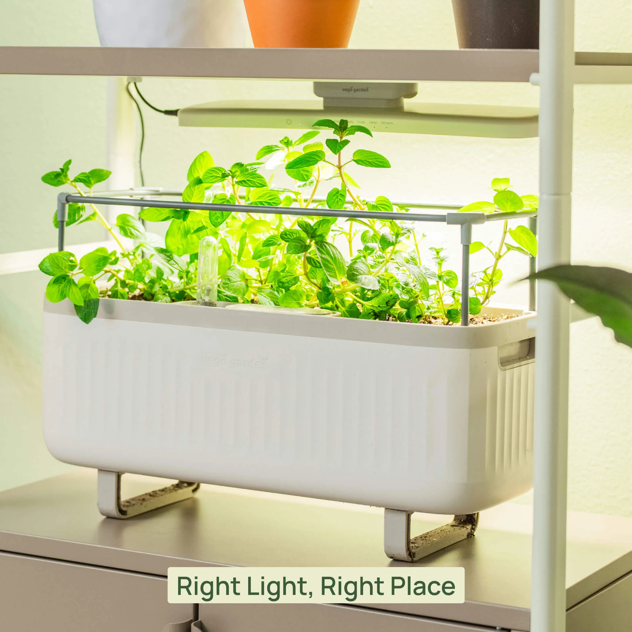 Classic Grow Light - Image 9