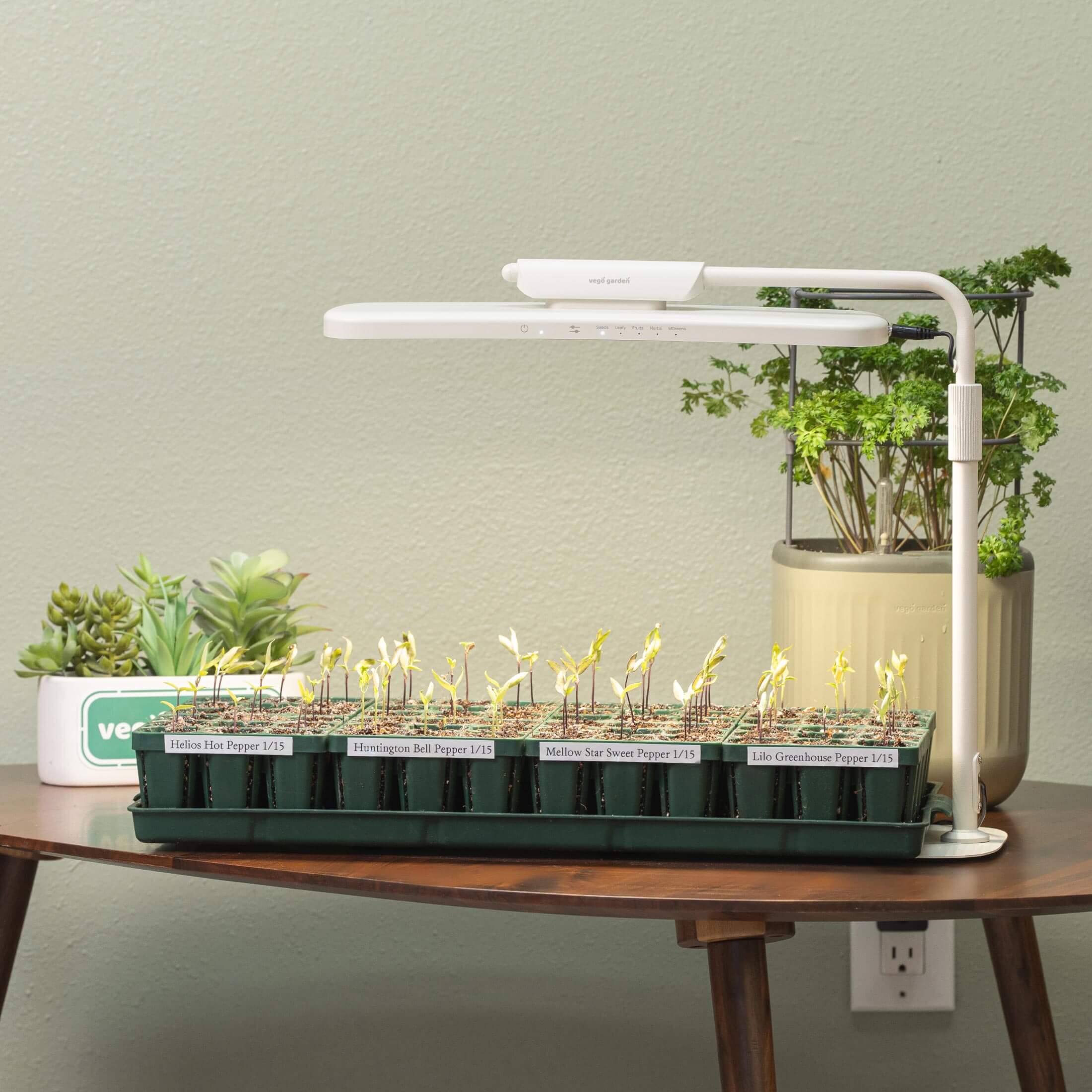 Grow Light Stand - Classic - Image 10