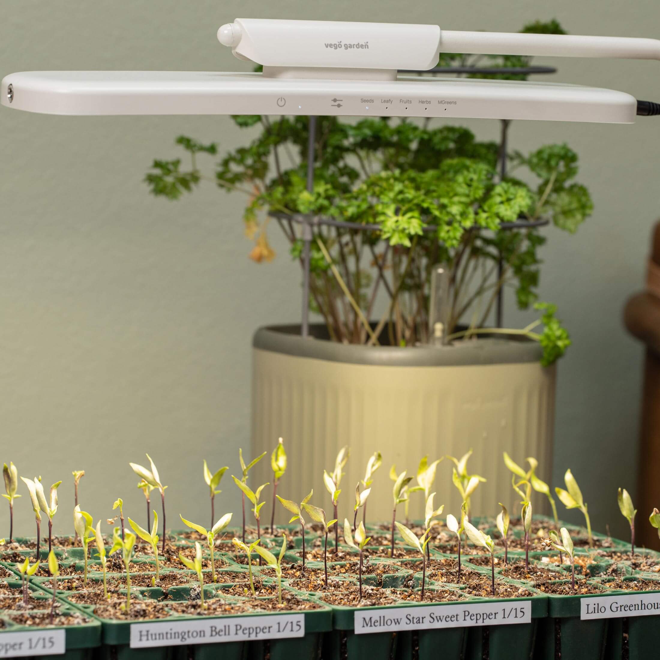 Grow Light Stand - Classic - Image 9