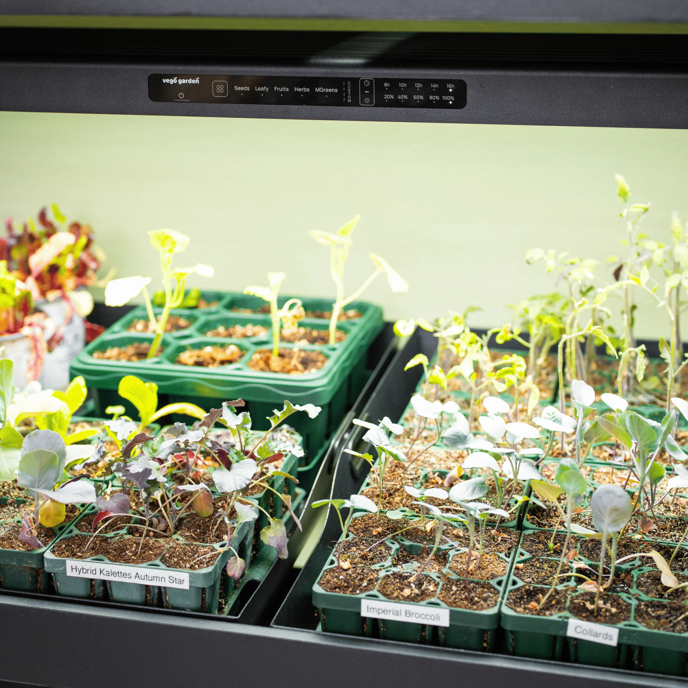 Ultimate Grow Light with Hanging Kit - Image 12