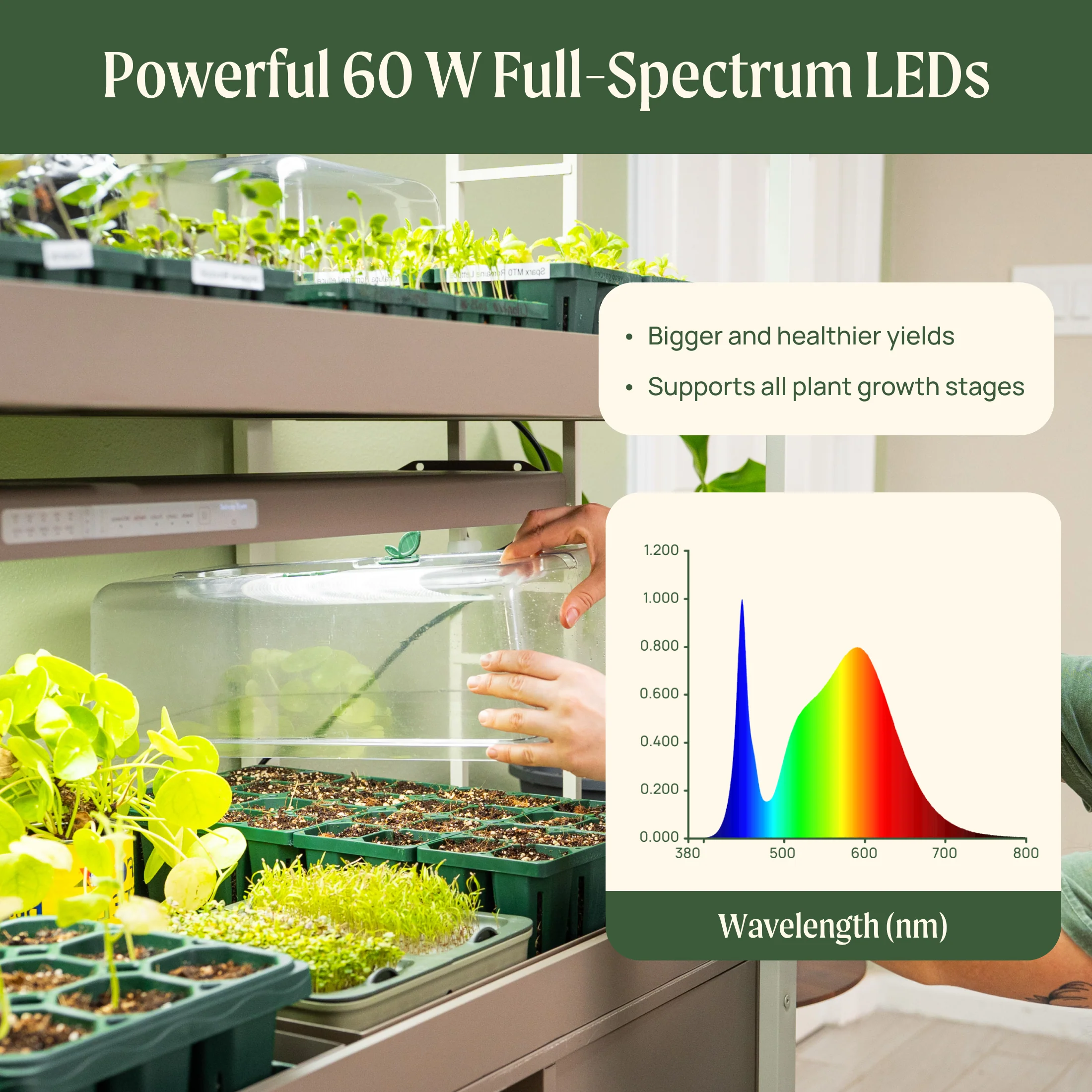 Ultimate Grow Light with Hanging Kit - Image 3