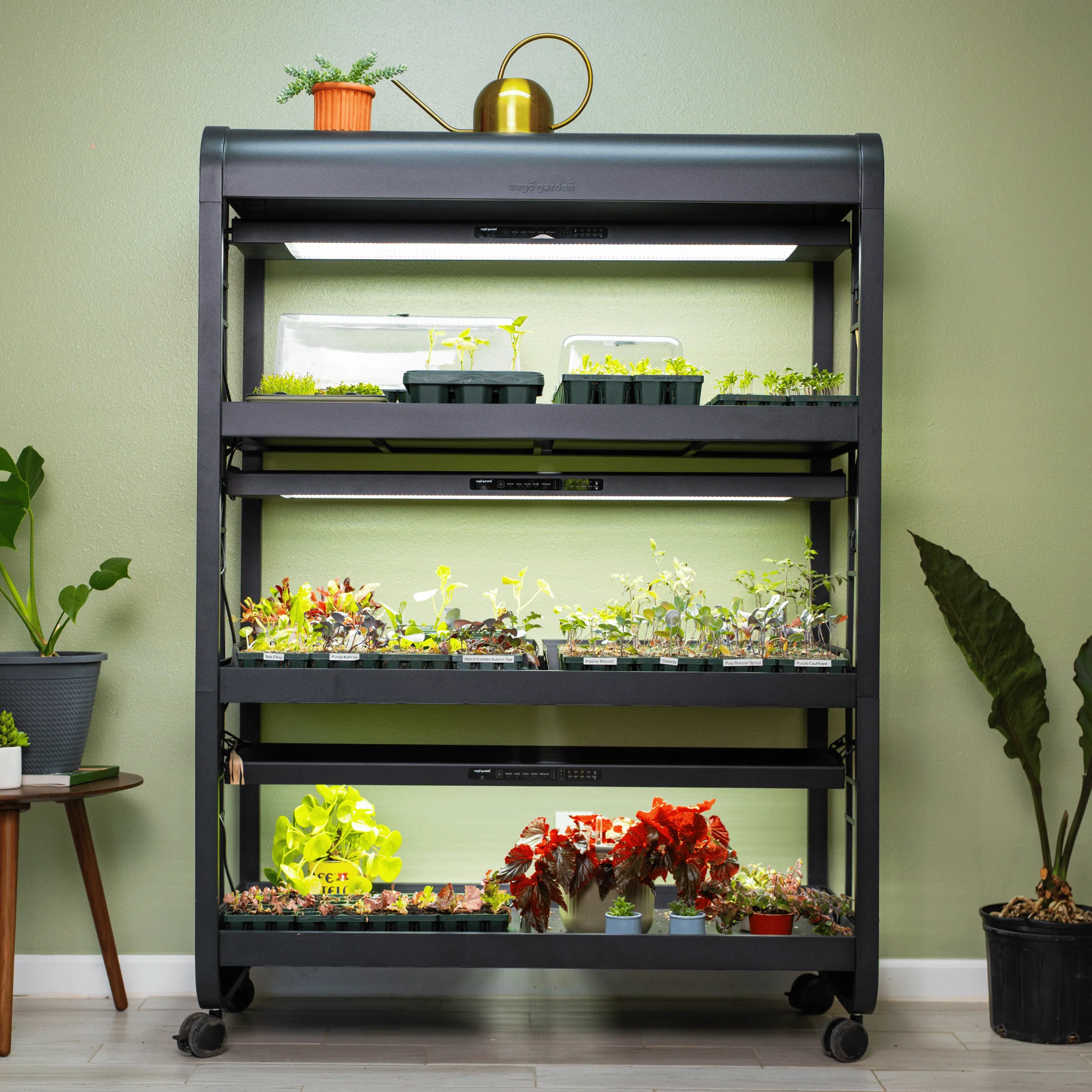 Ultimate Grow Light Garden - Image 12