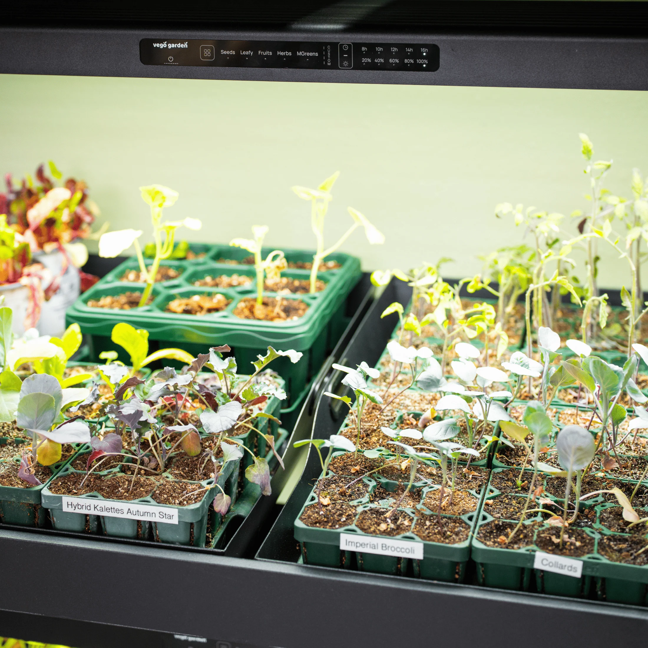 Ultimate Grow Light Garden - Image 15