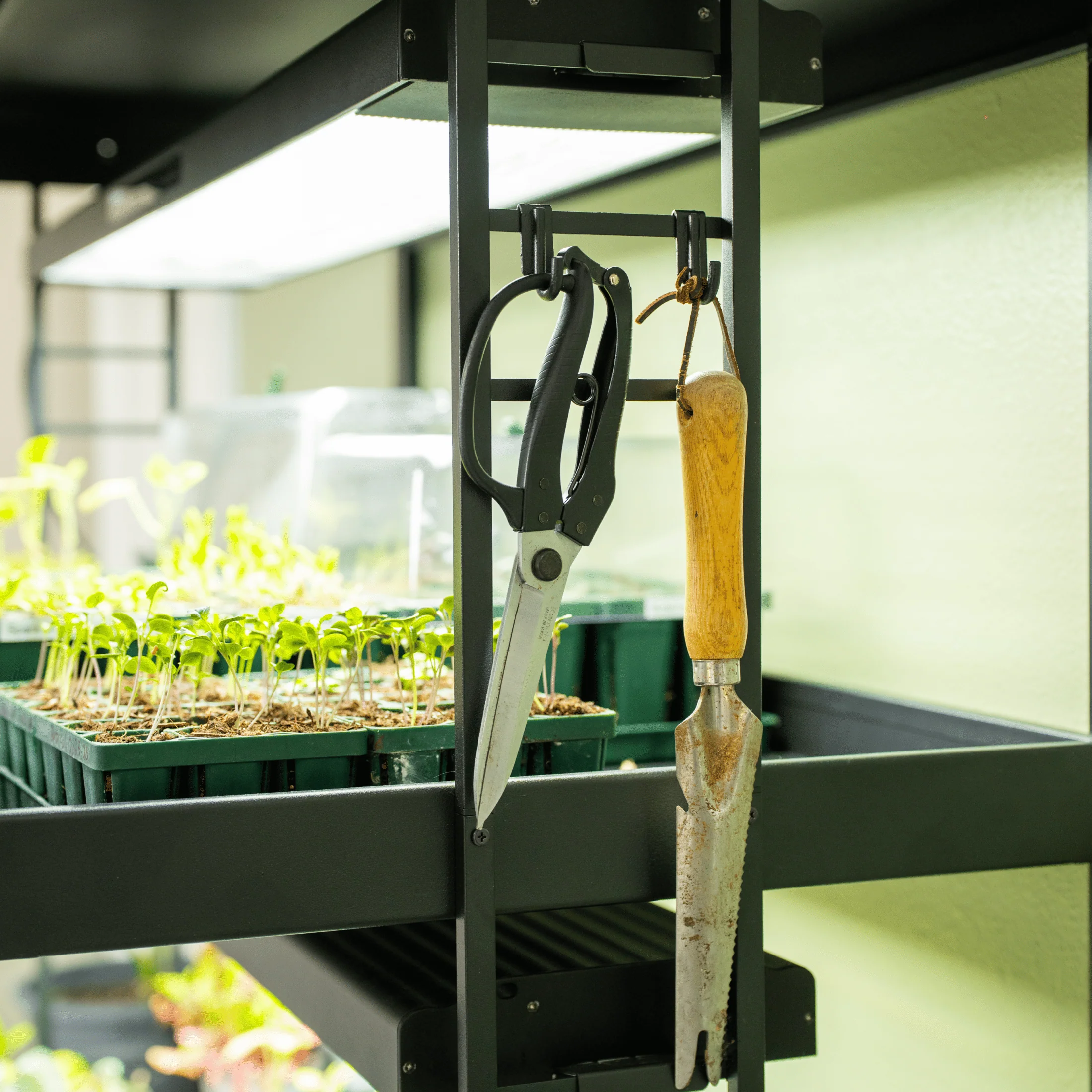 Ultimate Grow Light Garden - Image 16