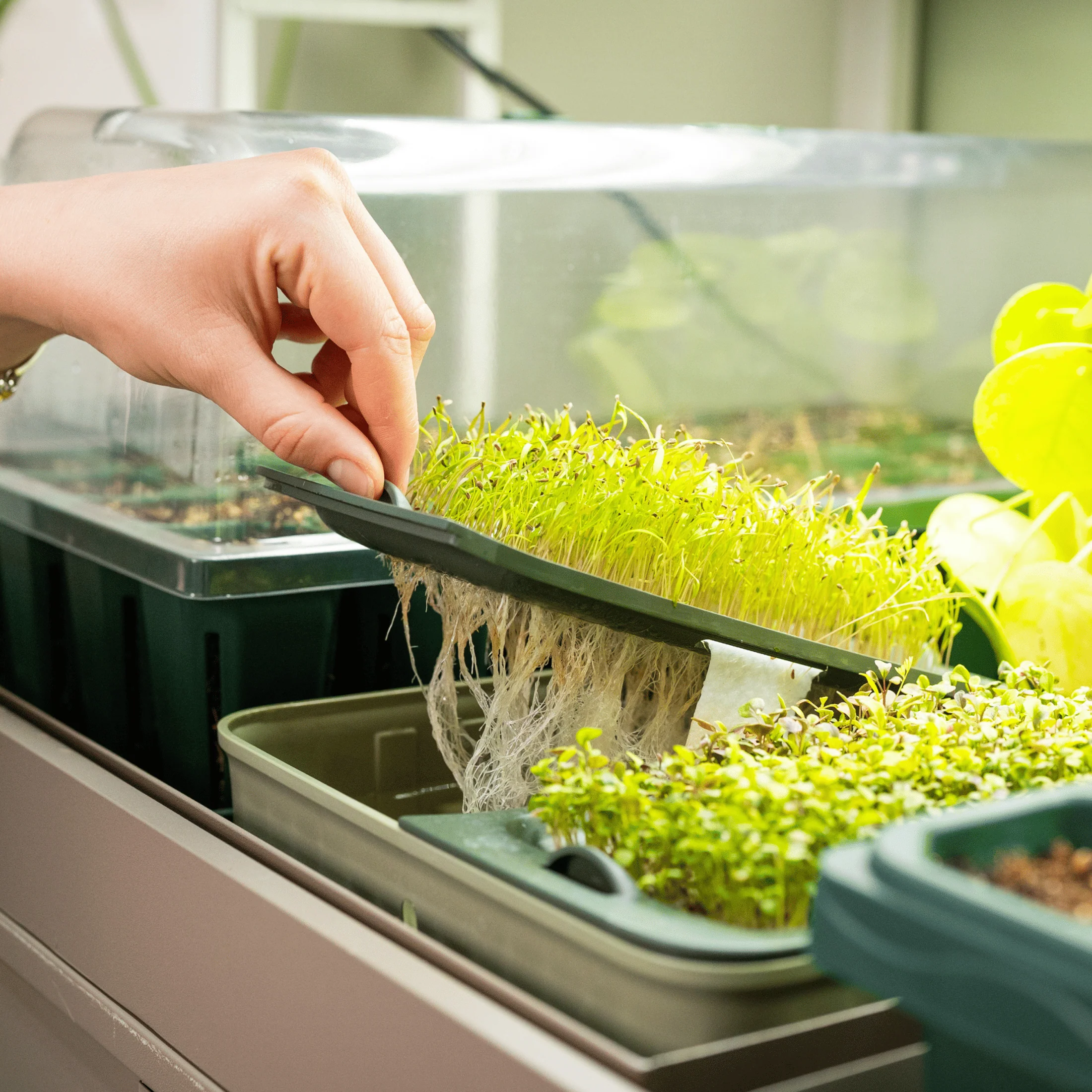 Ultimate Grow Light Garden - Image 18