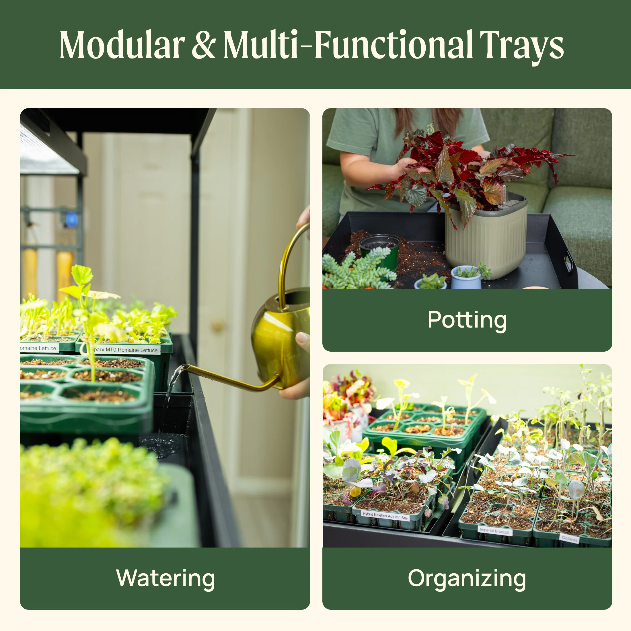 Ultimate Grow Light Garden - Image 8