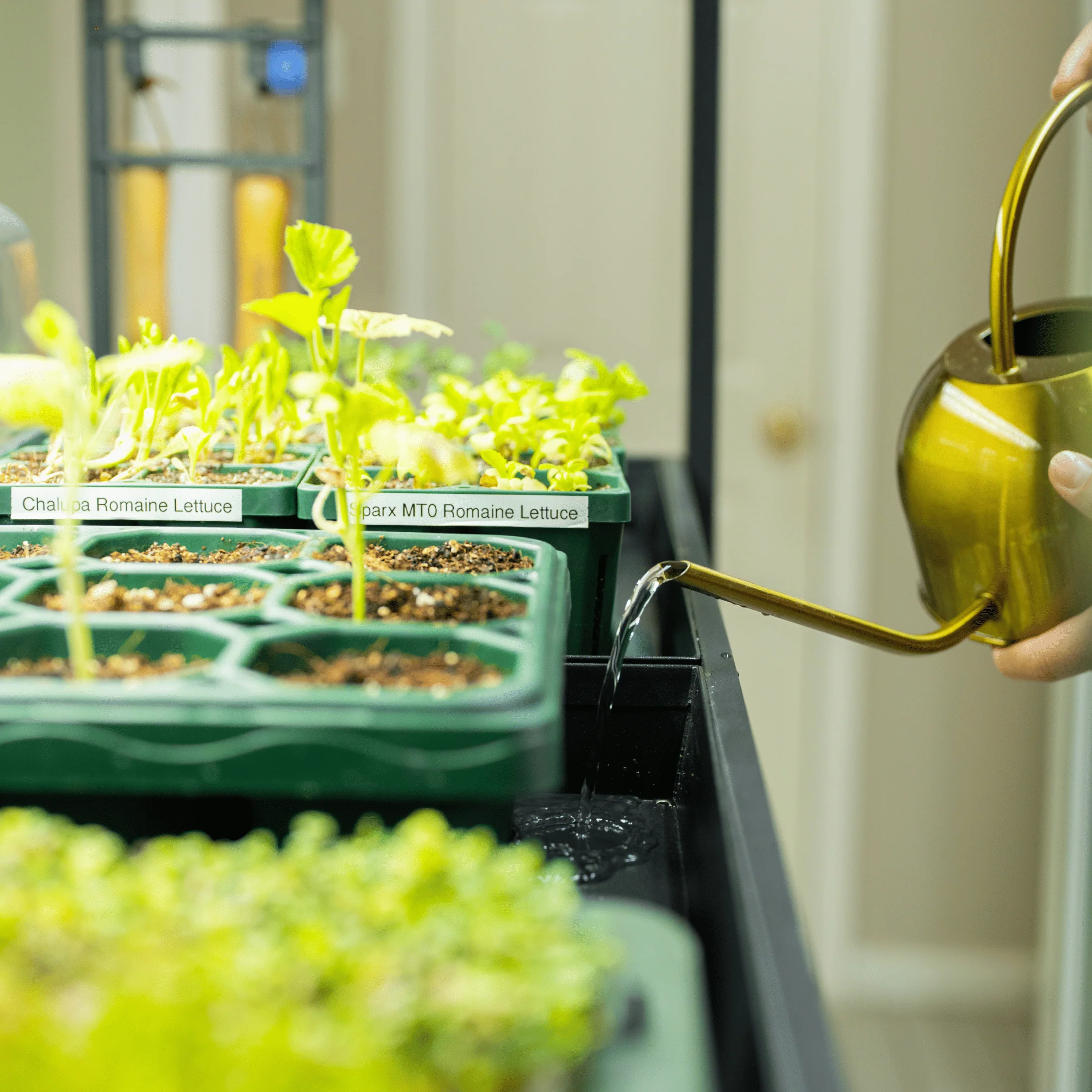 Ultimate Grow Light Garden with Storage - Image 16
