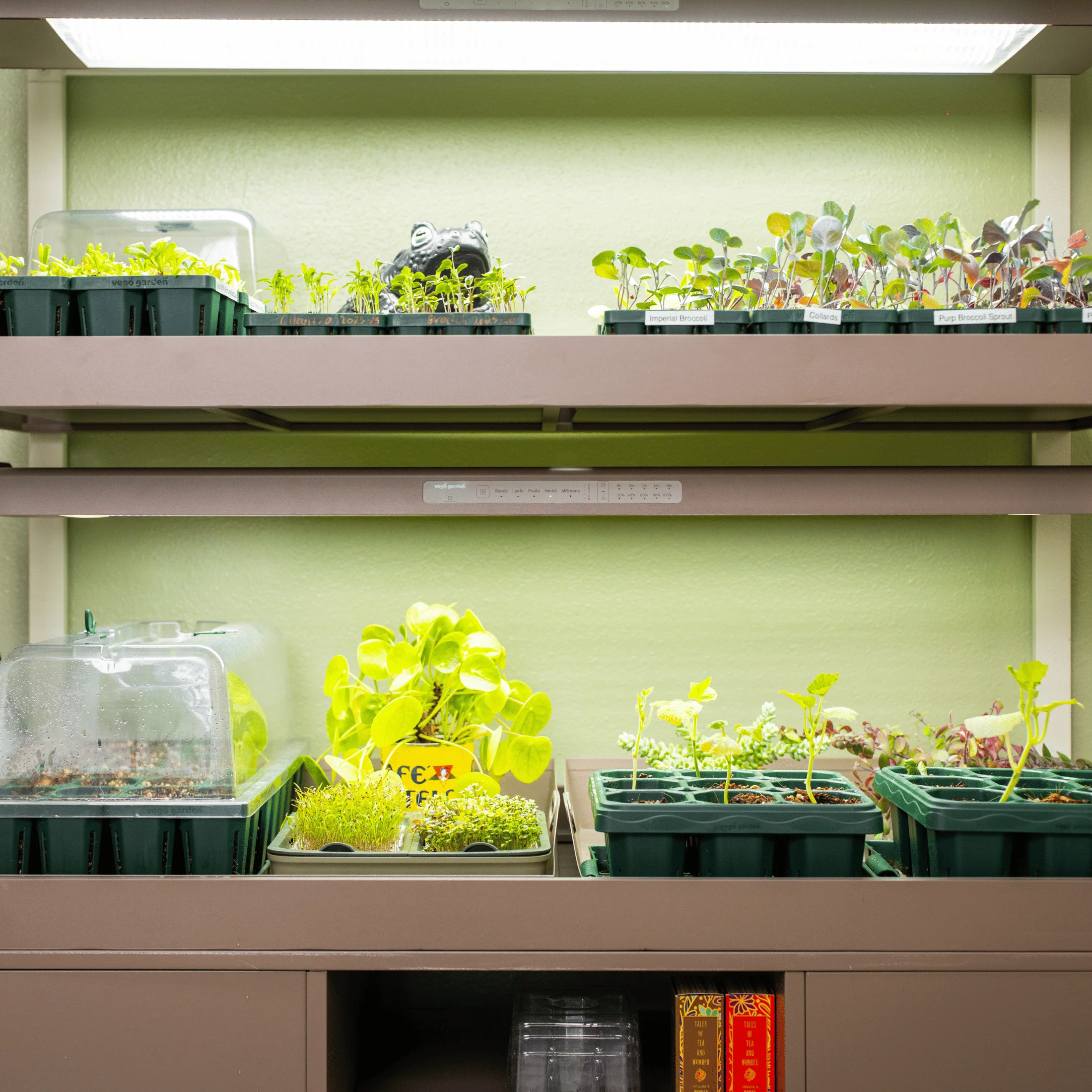 Ultimate Grow Light Garden with Storage - Image 18