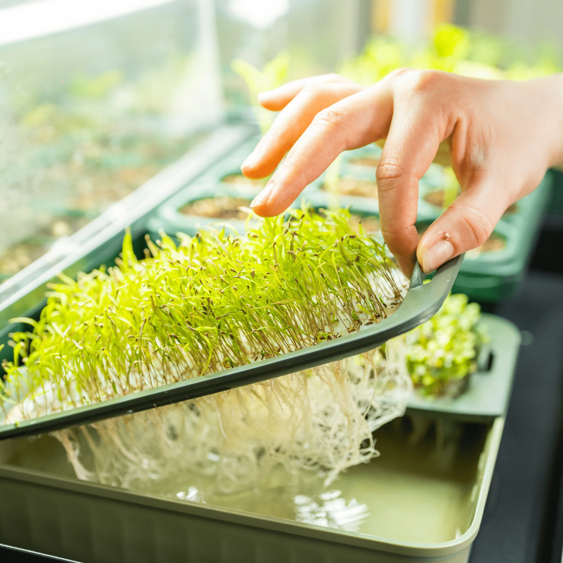 Ultimate Grow Light Garden with Storage - Image 20