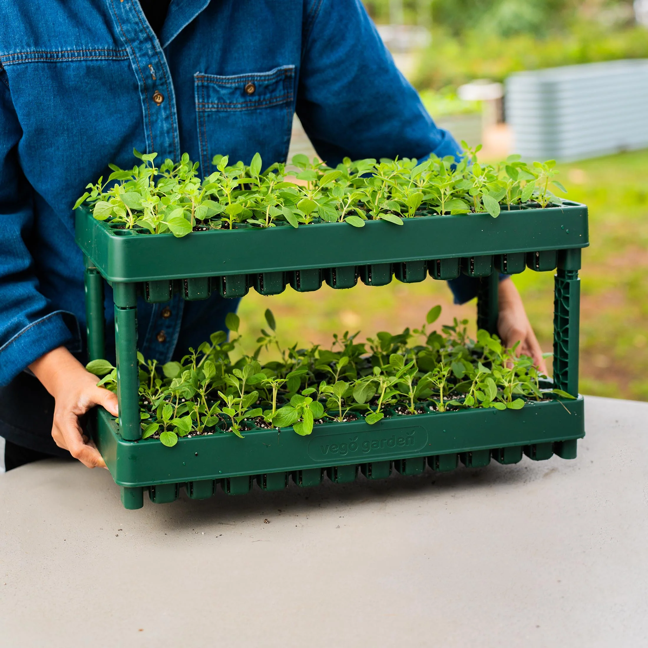 76-Cell Stackable Seedling Tray - 10" x 20" - Image 11