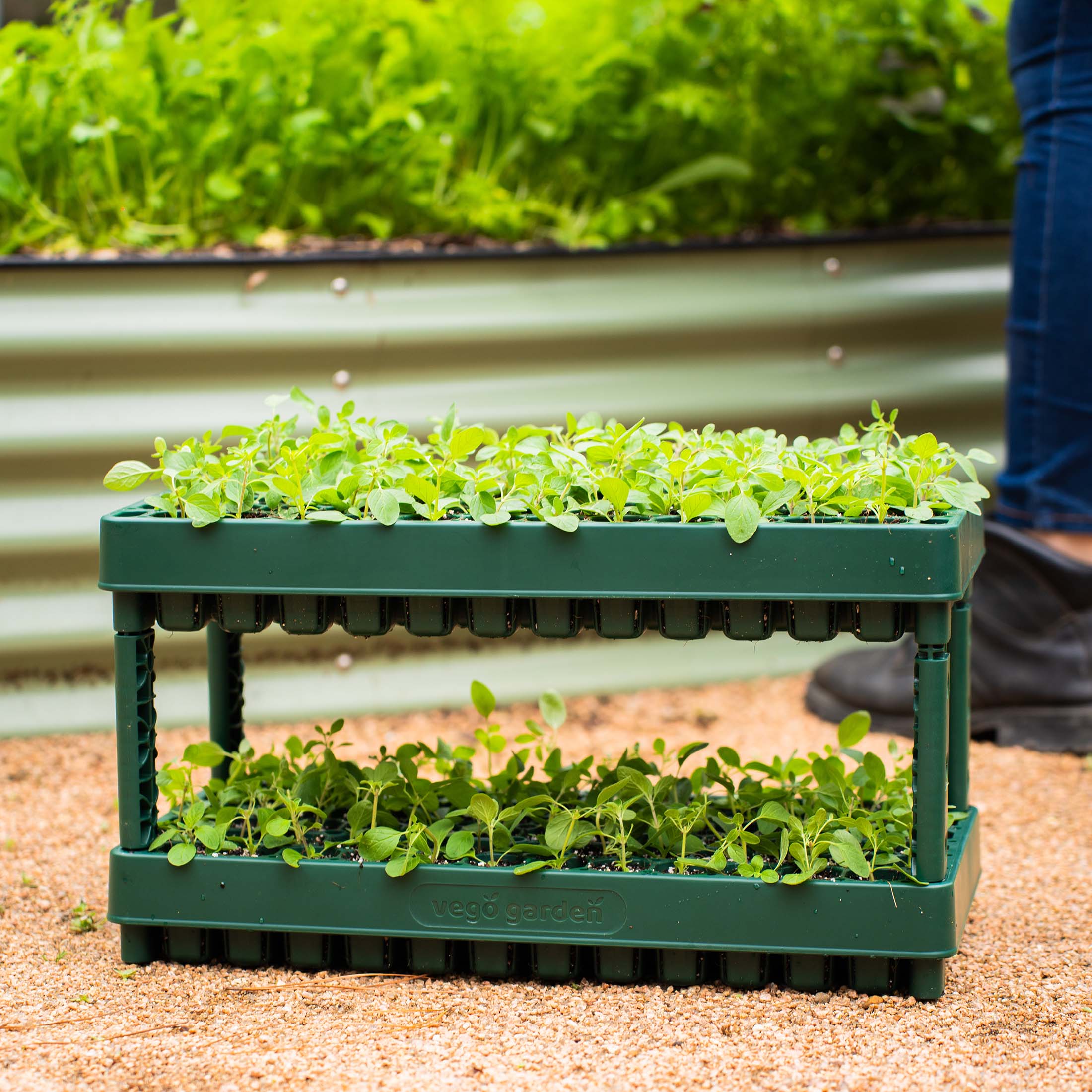 76-Cell Stackable Seedling Tray - 10" x 20" - Image 12