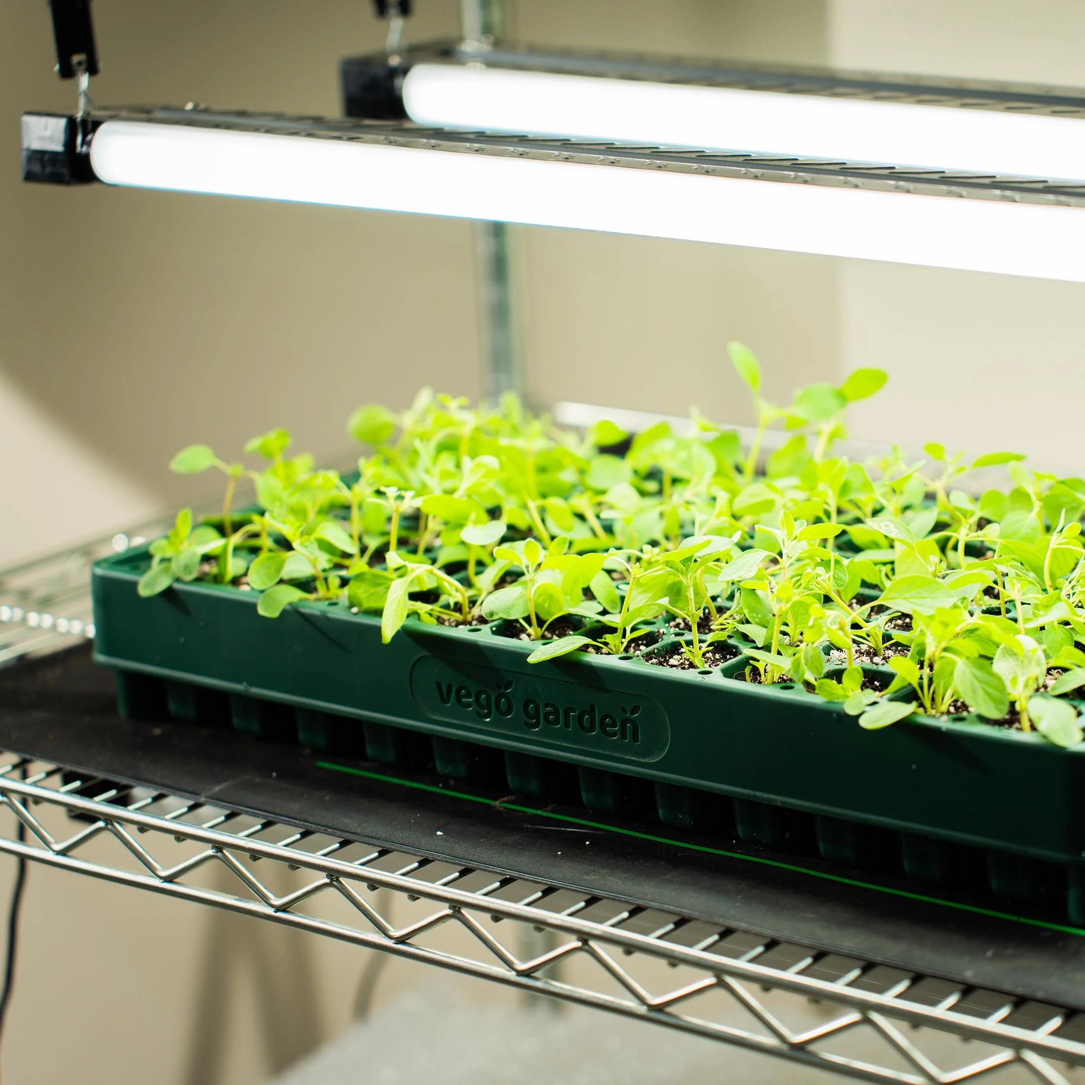 76-Cell Stackable Seedling Tray - 10" x 20" - Image 13