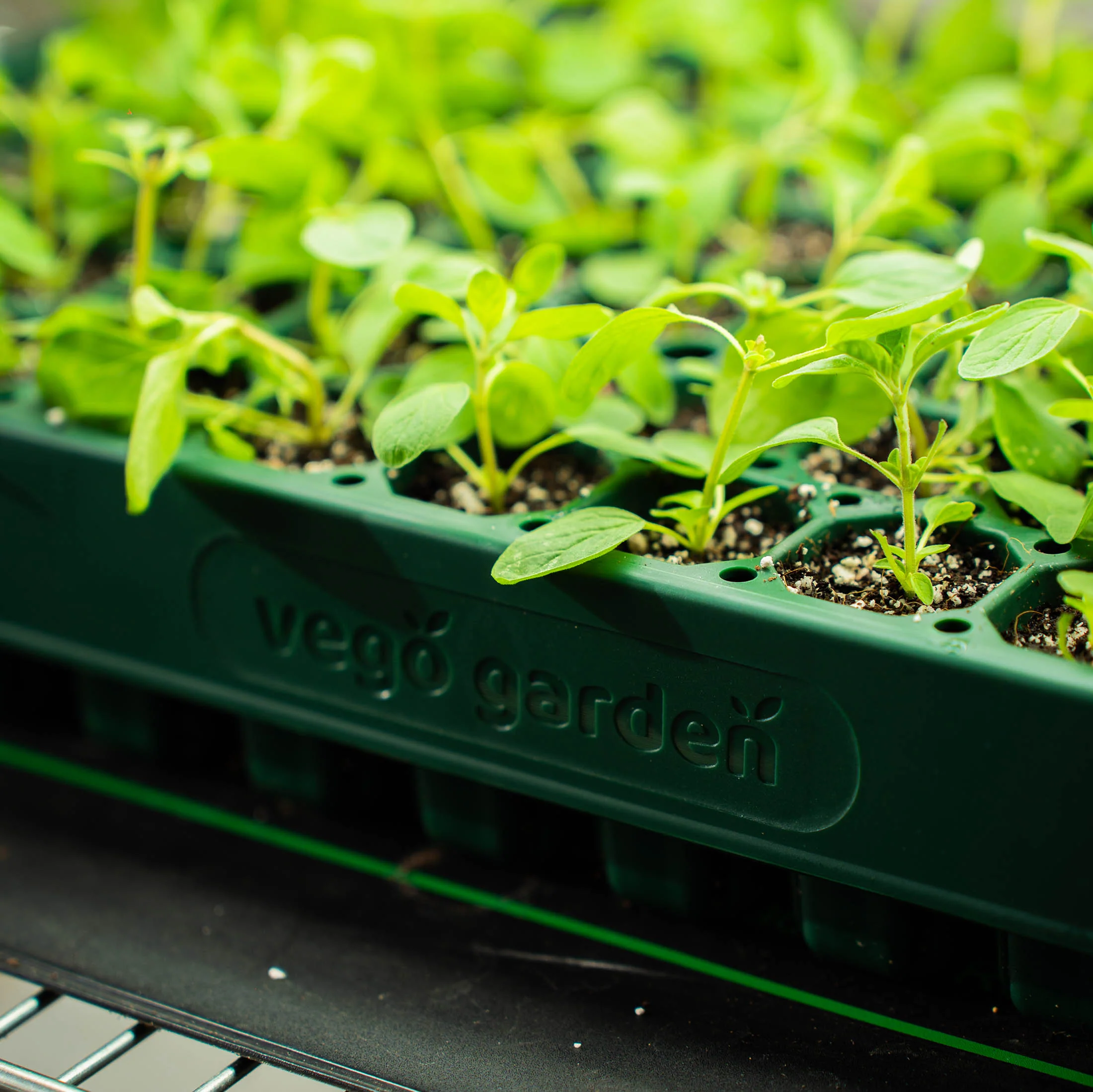 76-Cell Stackable Seedling Tray - 10" x 20" - Image 14
