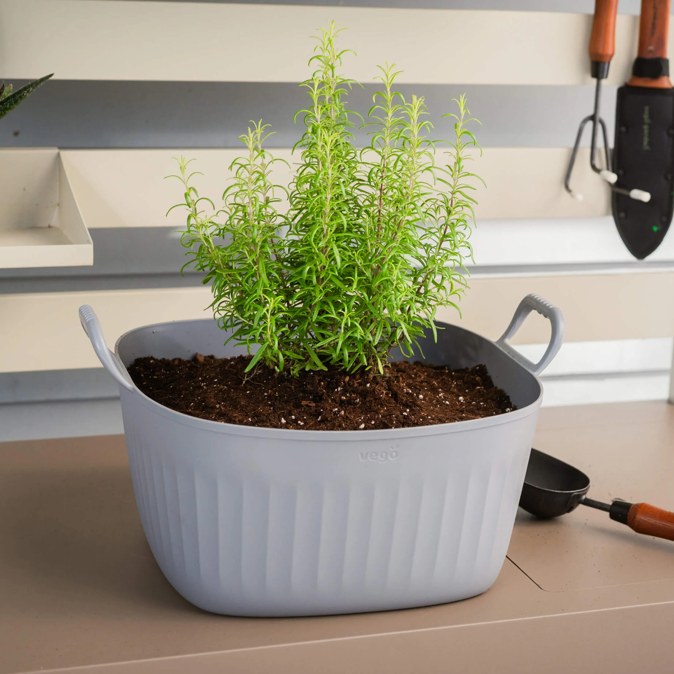 Vego FlexTrug™ - 4 Gallon Tub - Image 12