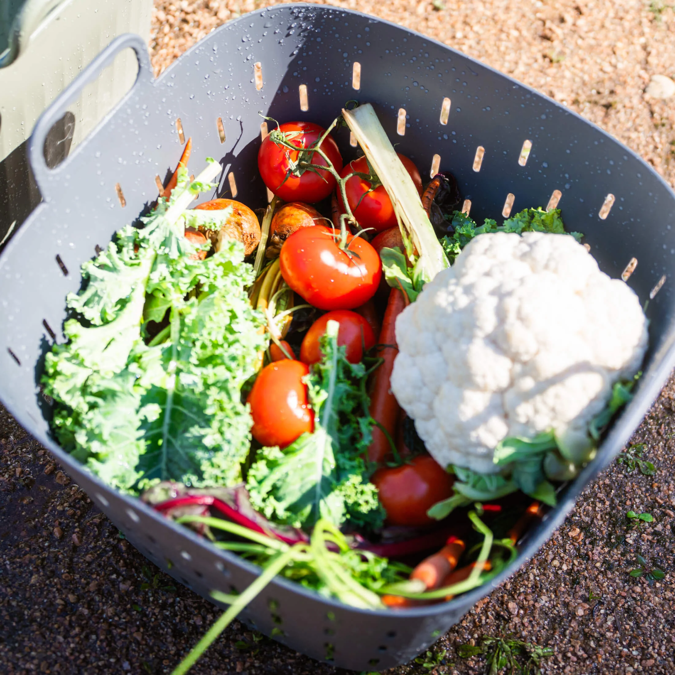 Vego FlexTrug™ Strainer Basket - 8 Gallon - Image 11