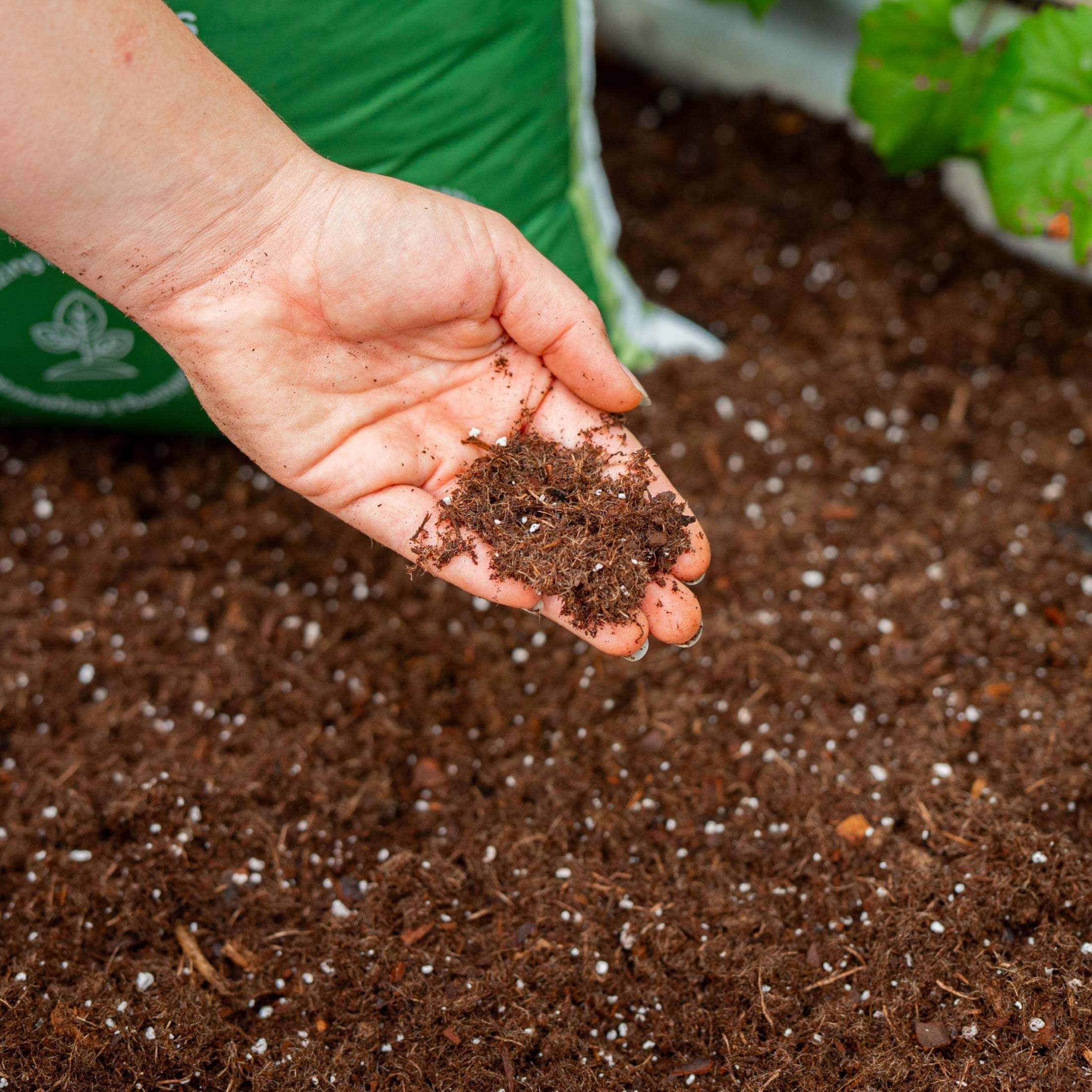 Vego Garden Bed Mix - Image 3