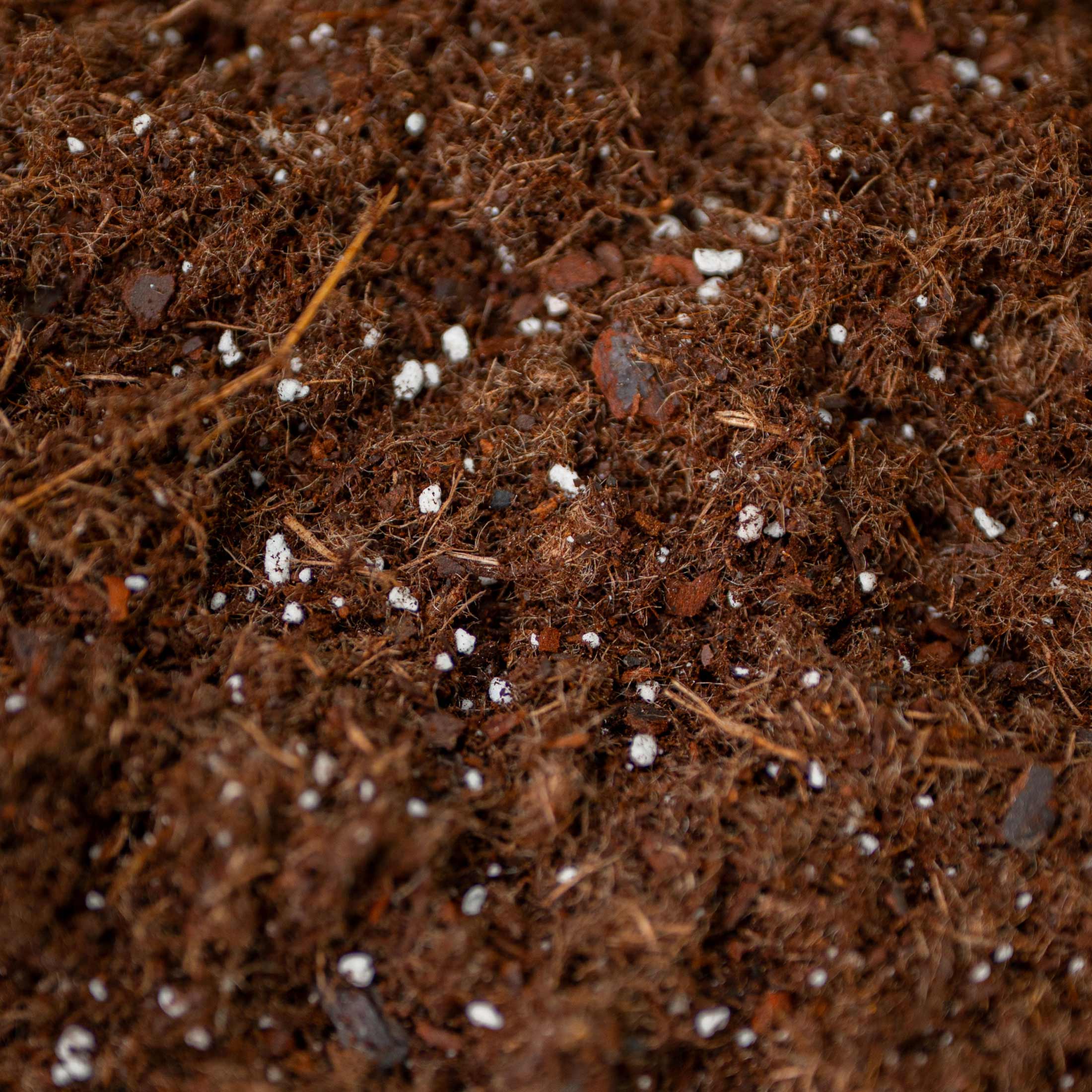 Vego Garden Bed Mix - Image 4