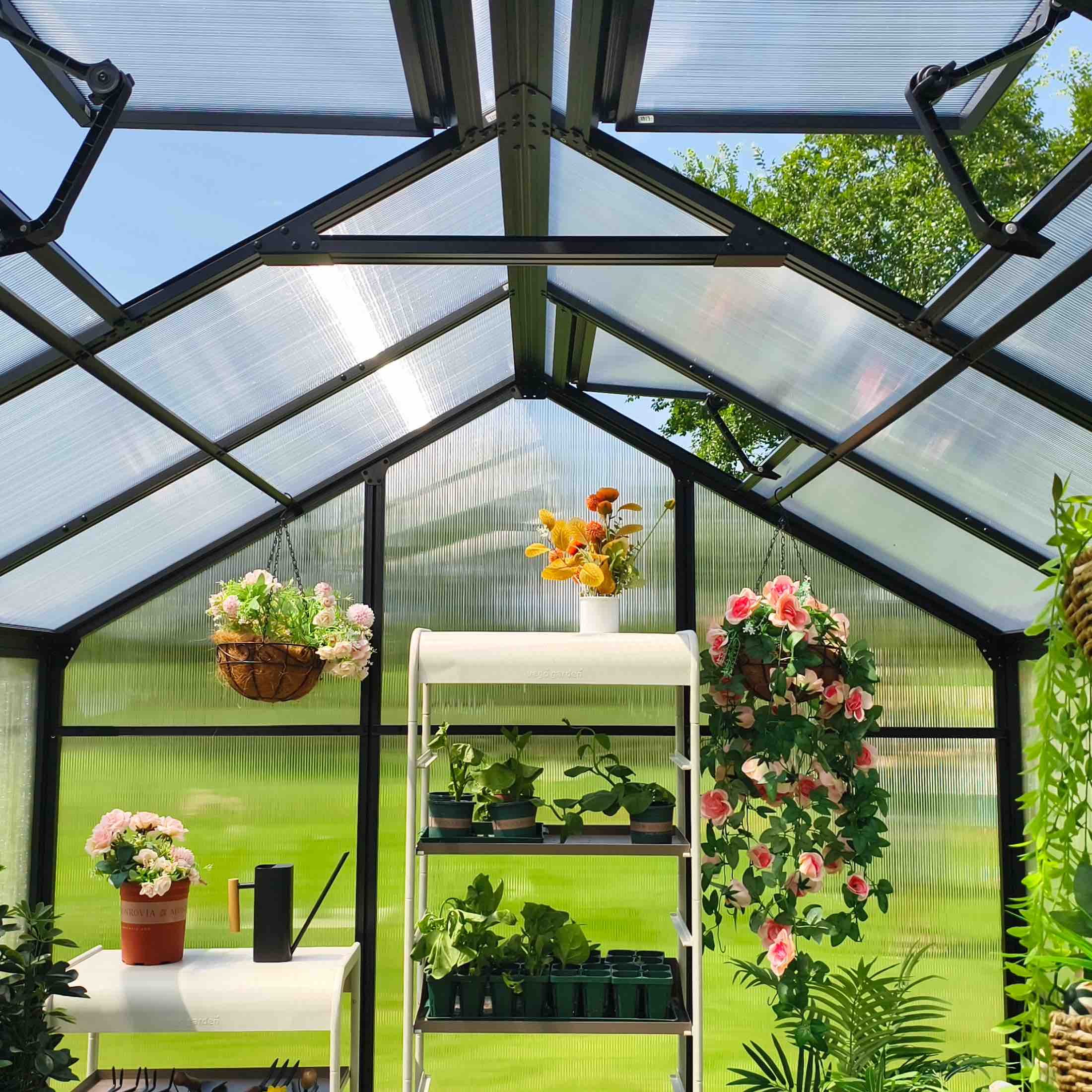 Vego Junior Victorian Greenhouse - 8.0ft Wide - Image 15