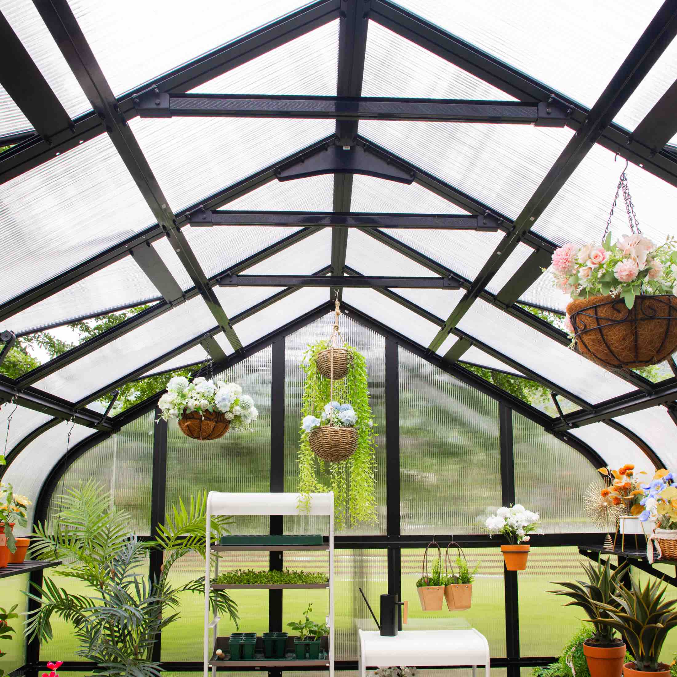 Vego Pacific Greenhouse - 10.5ft Wide - Image 18