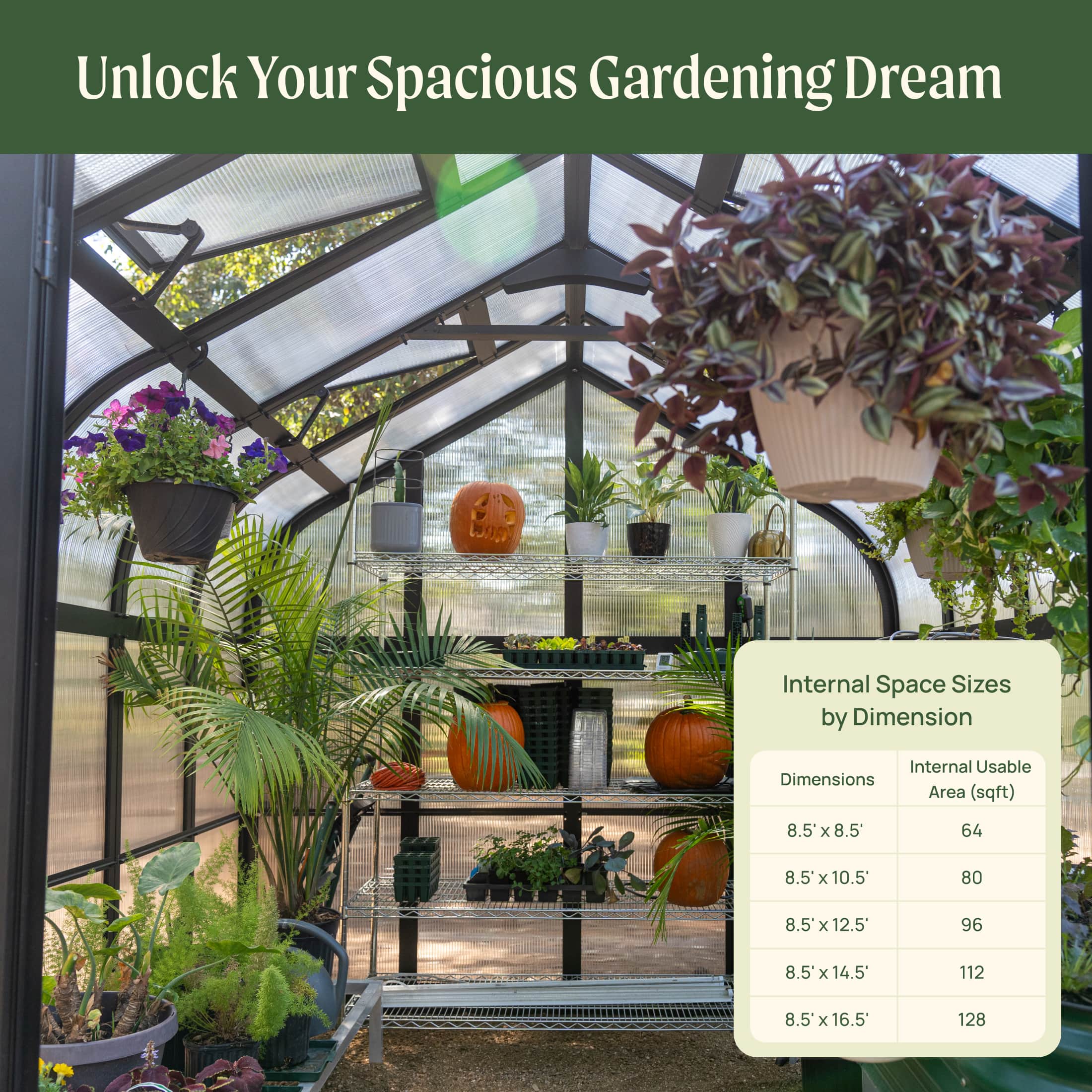 Vego Pacific Greenhouse - 8.5ft Wide - Image 10