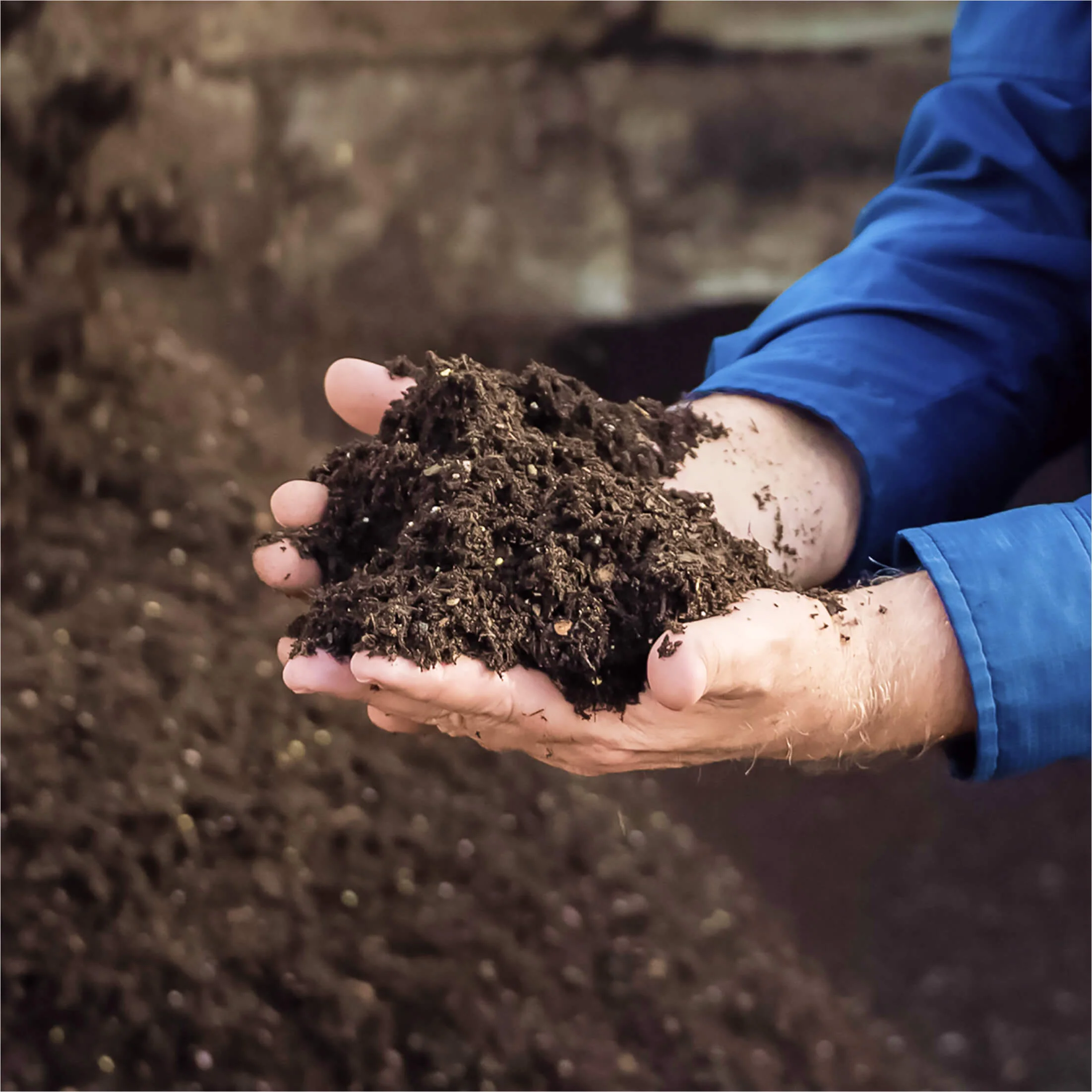 Vego Garden Planter Mix - Image 3