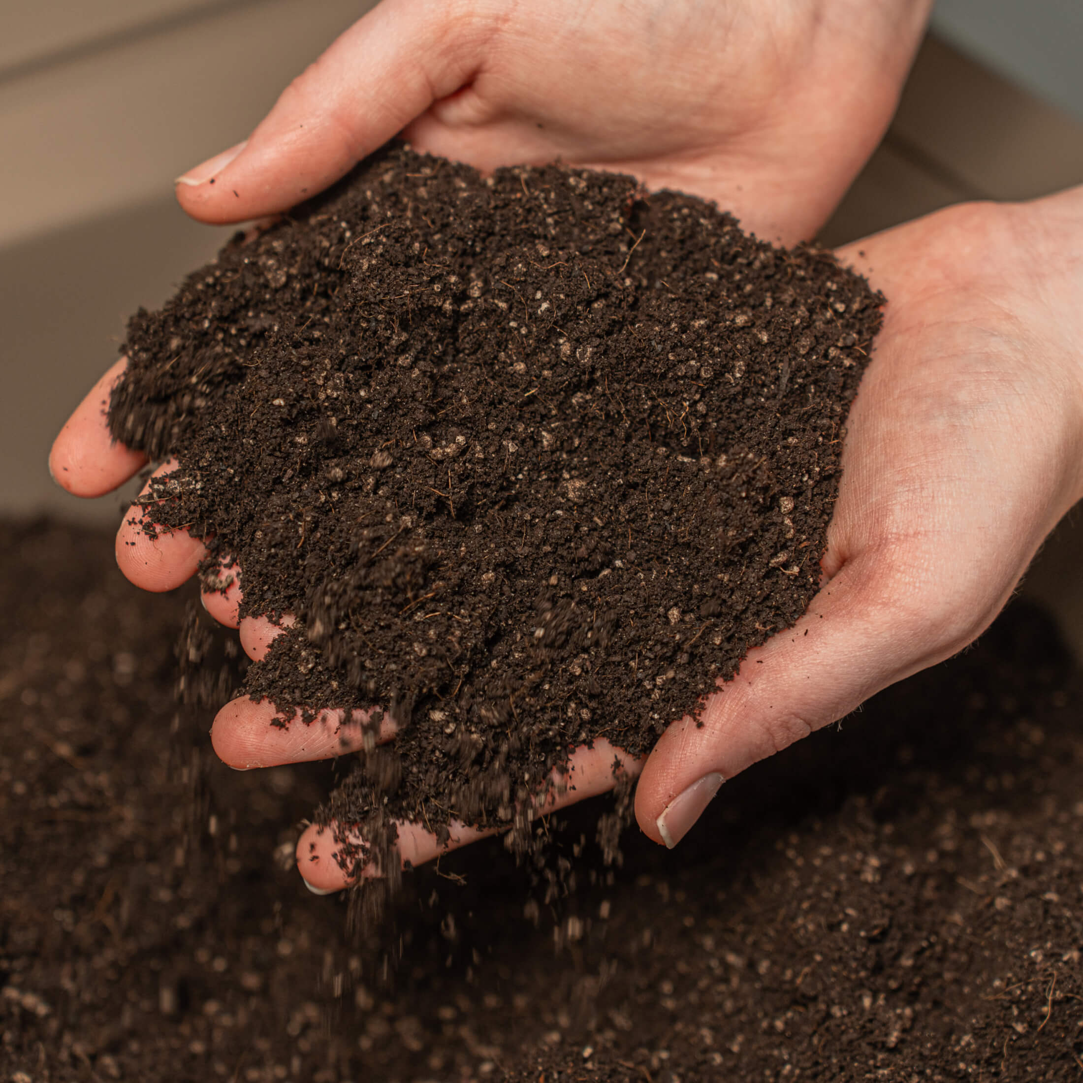 Vego Garden Seed Starter Mix - Image 3