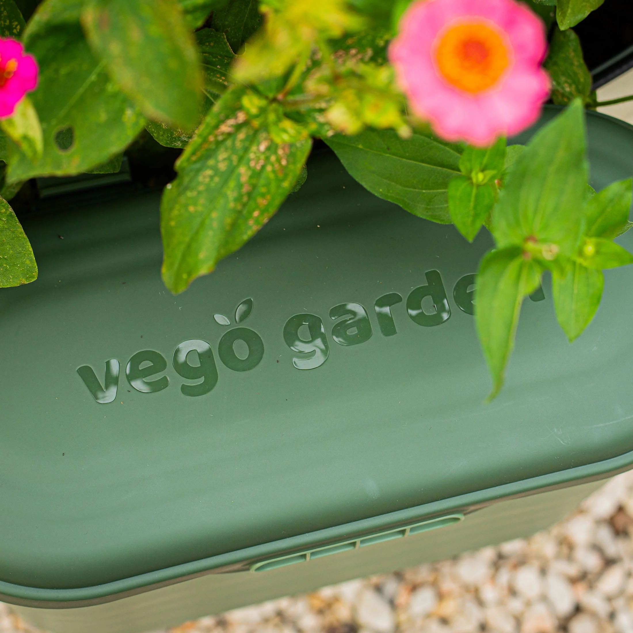 Garden Tool Box - Image 14