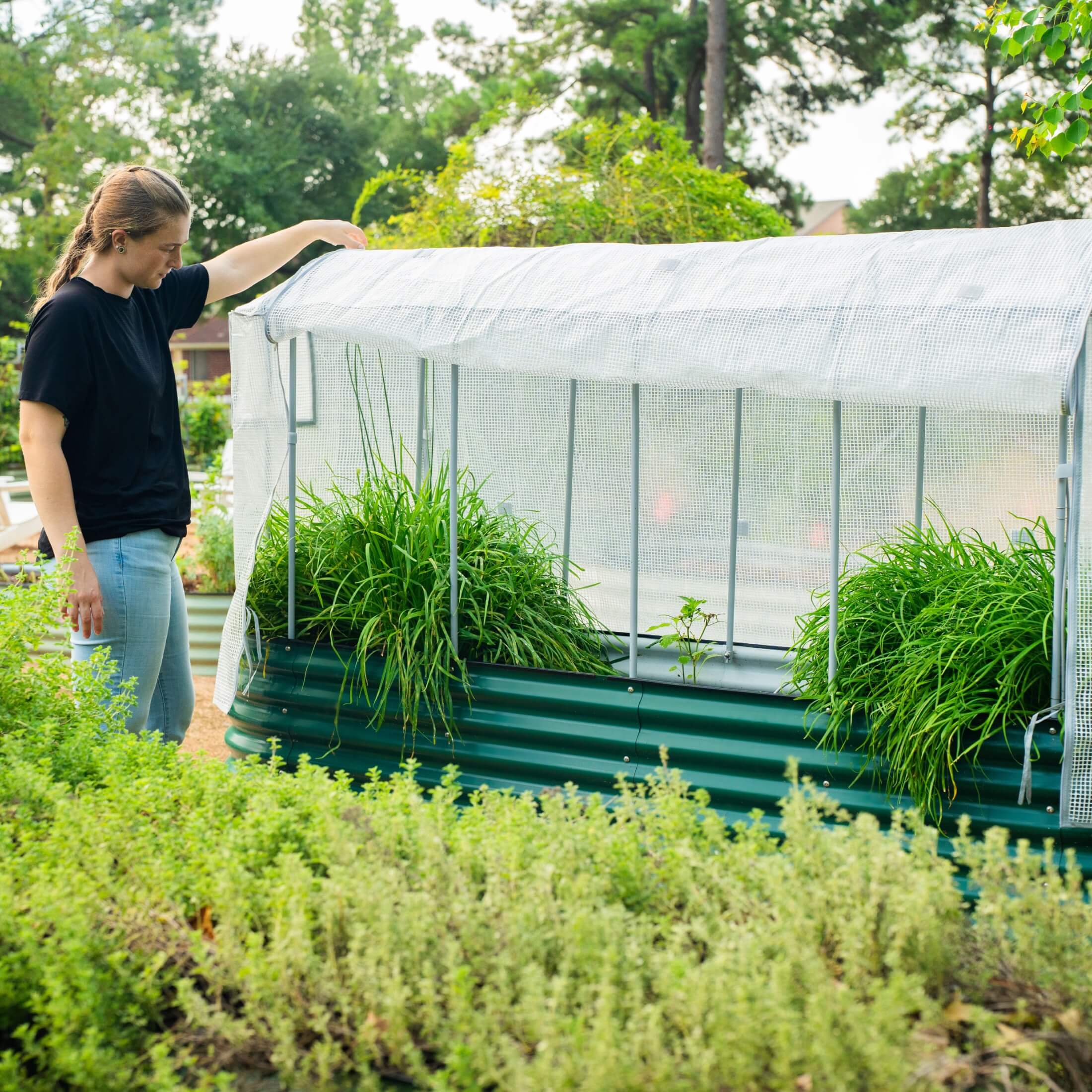 Frost Greenhouse Cover System - Image 14