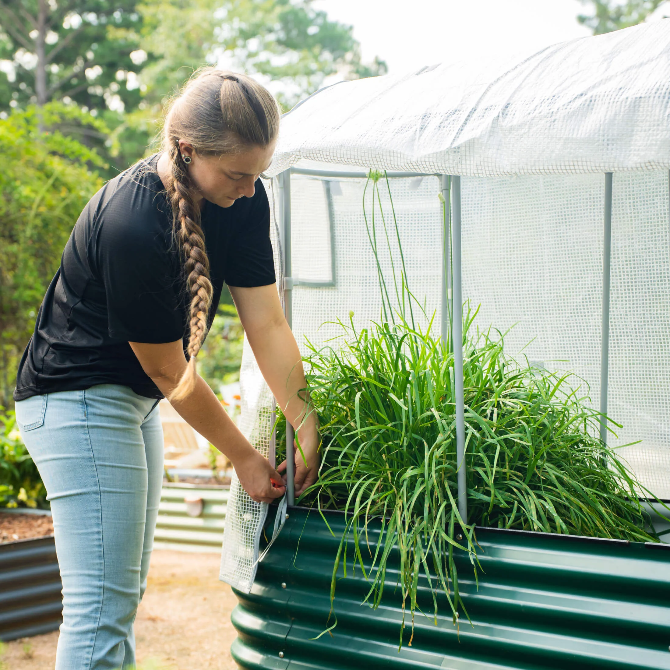 Frost Greenhouse Cover System - Image 15
