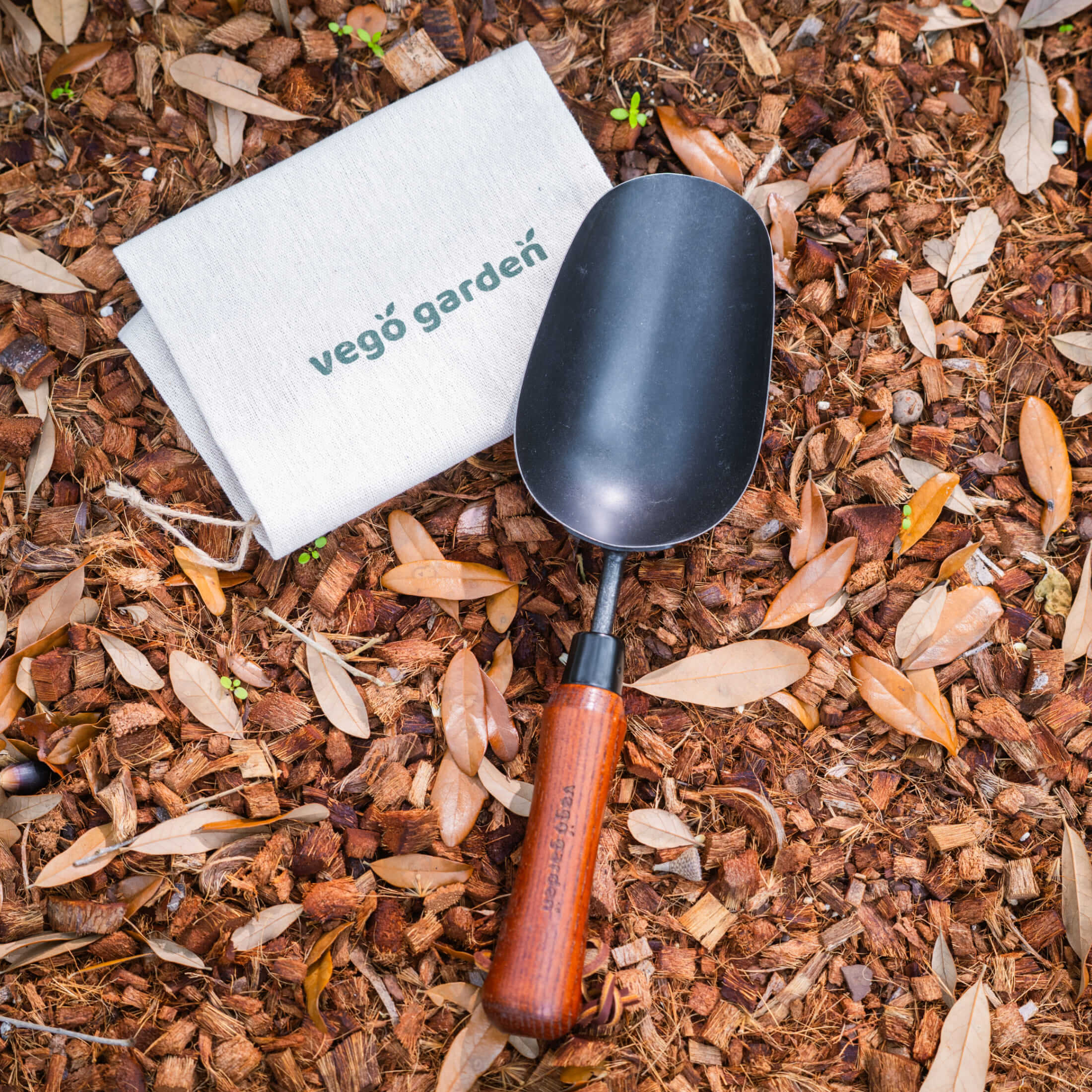 Heritage Scoop - Image 9
