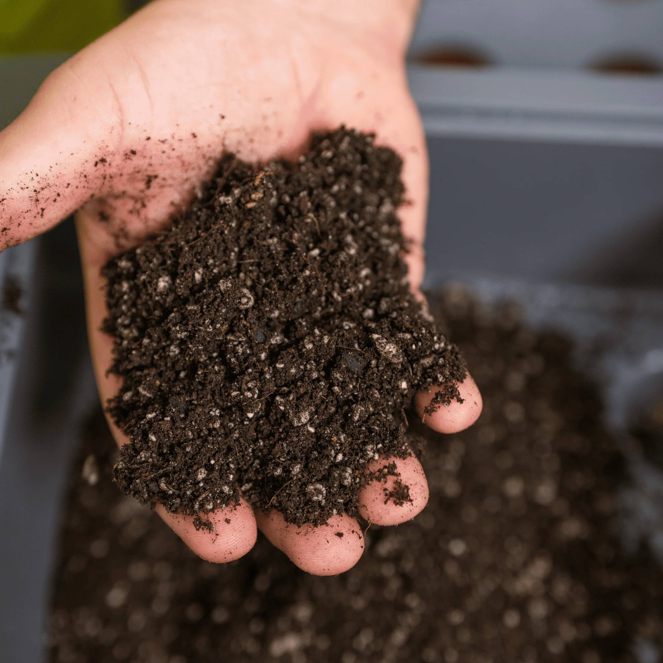 Vego Indoor Potting Mix - Image 3