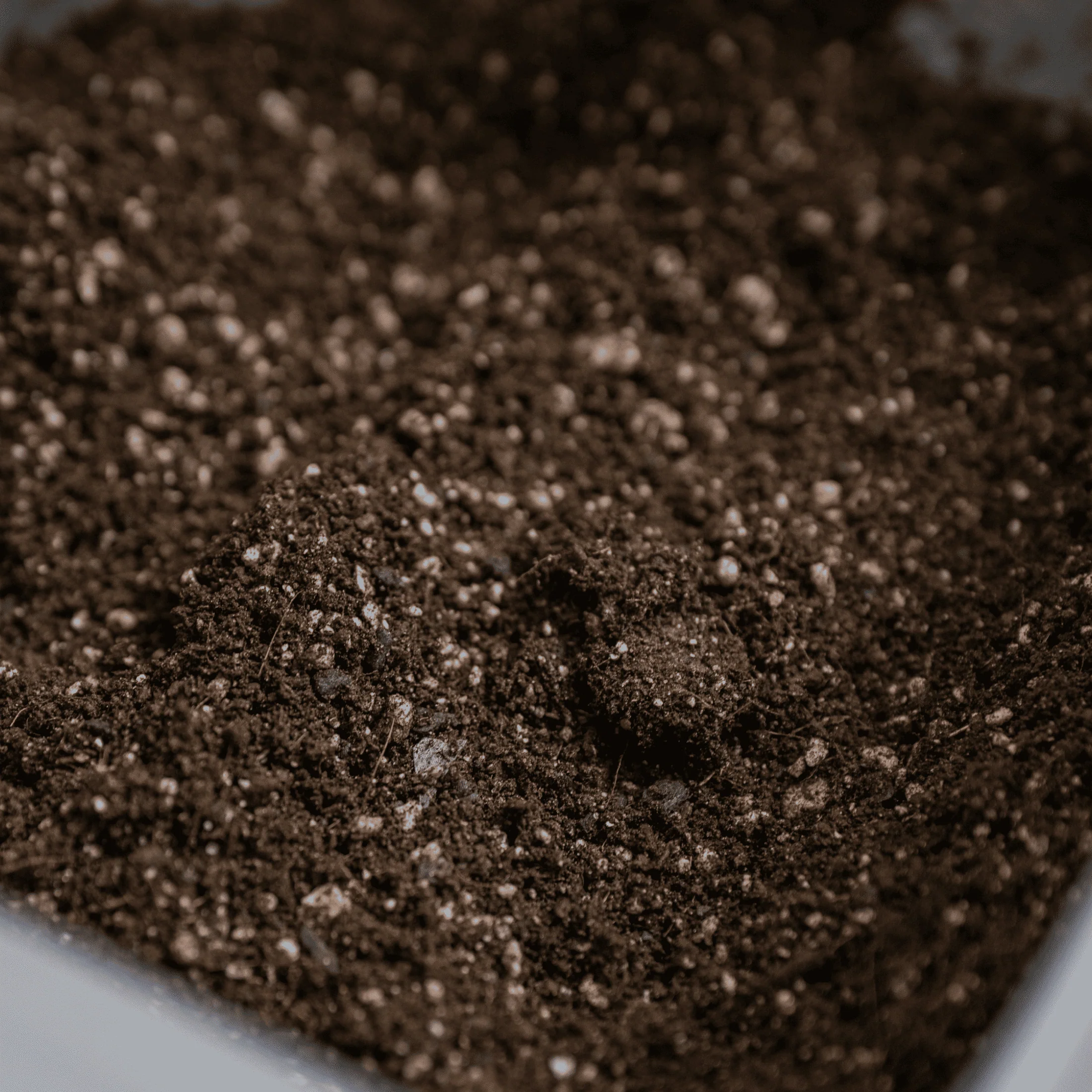 Vego Indoor Potting Mix - Image 5