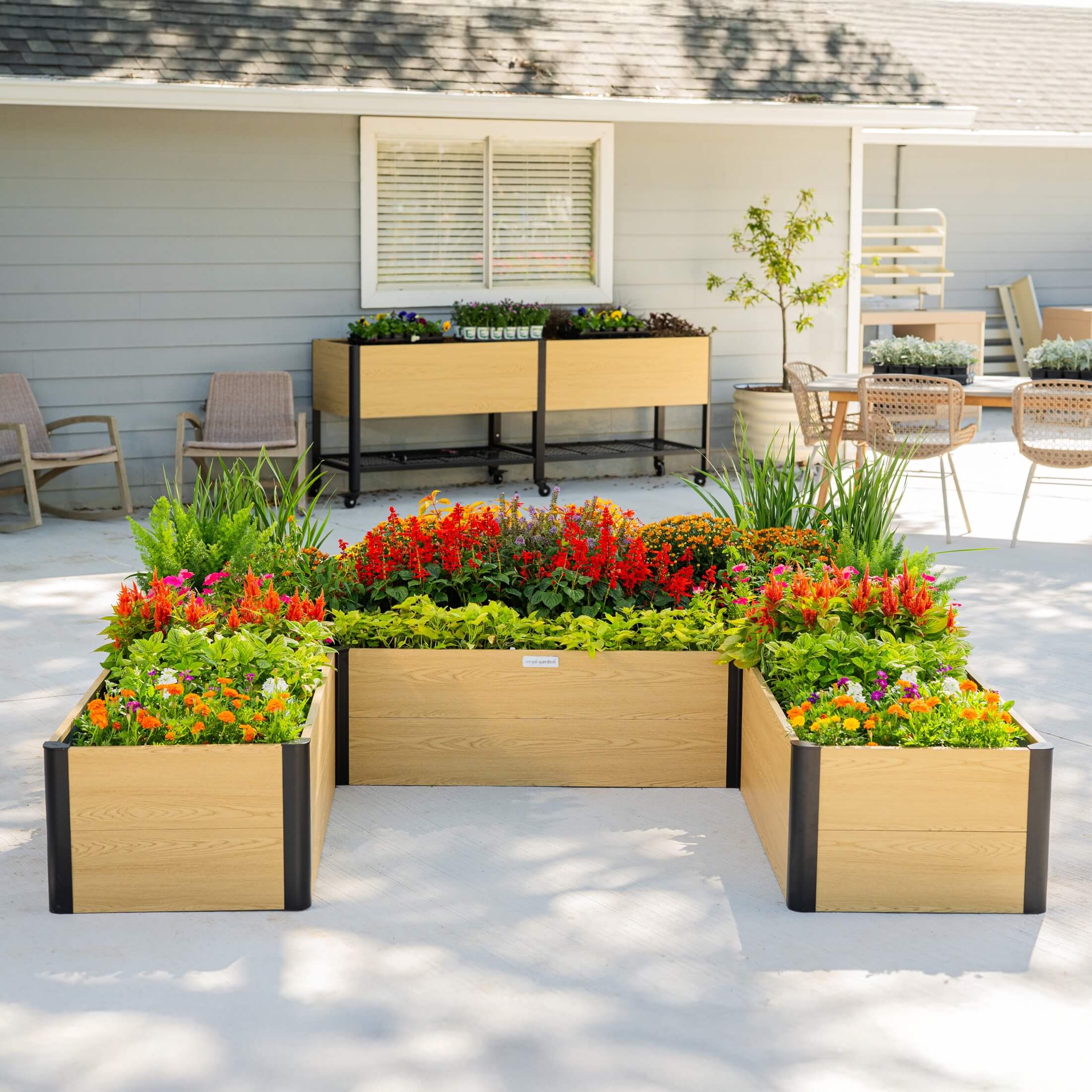 16" Tall Woodgrain 8' x 8' U-Shaped Metal Raised Garden Bed - Image 11