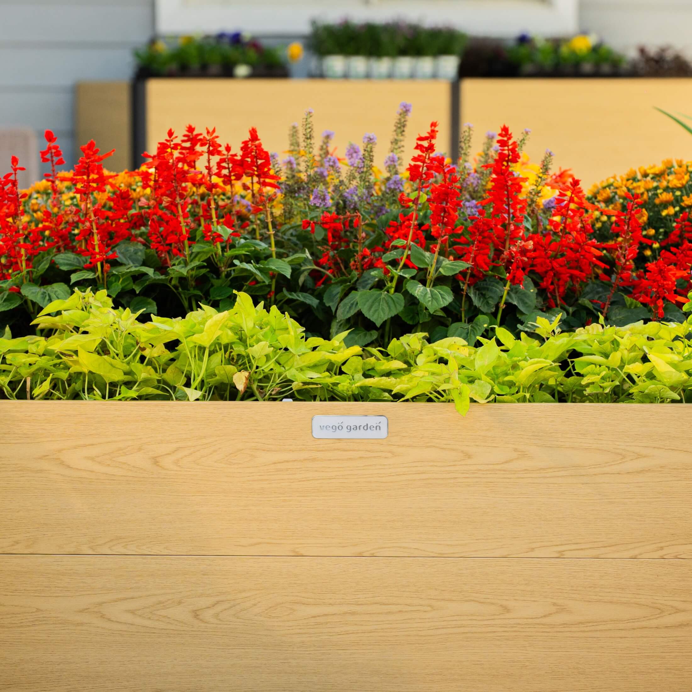16" Tall Woodgrain 8' x 8' U-Shaped Metal Raised Garden Bed - Image 14